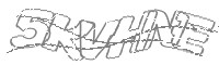 Check code